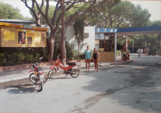Imagen de la entrada y la recepci�n del camping Albatros de Gav&agrave; Mar, se ve tambi�n el tablero de anuncios